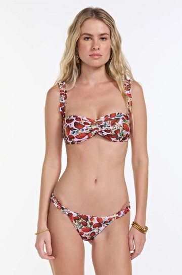 Top Canis Magic Mushrooms