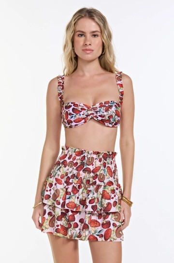 Saia Drap Lua  Magic Mushrooms